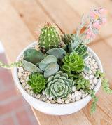 Handmade Klapp Ceramics Pot & Succulent Planter